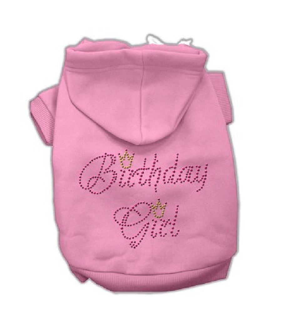 Birthday Girl Dog Hoodie - Pink