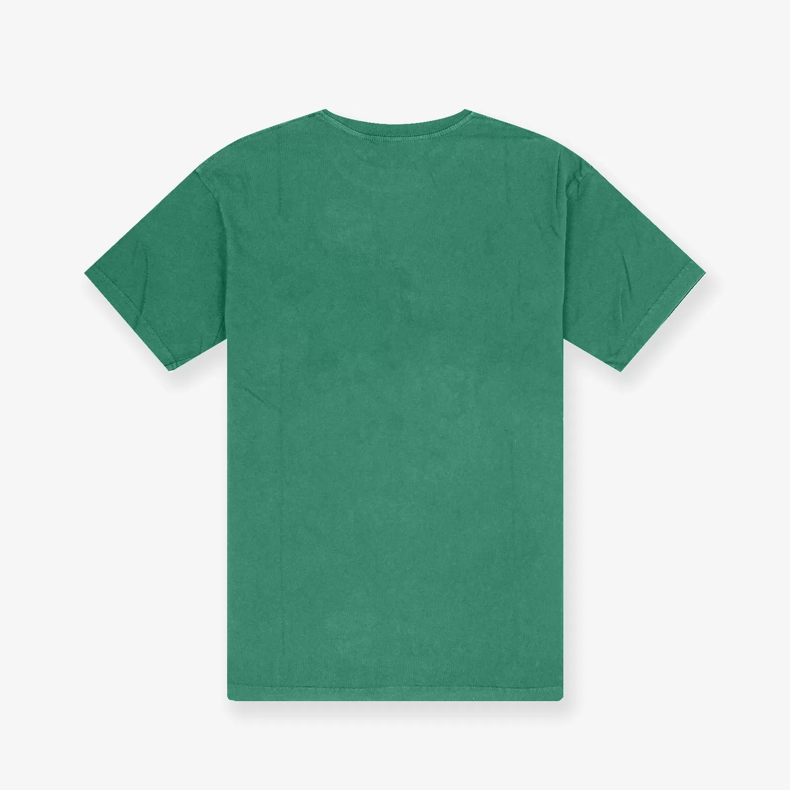 Boston Celtics Brush Off Tee - Faded Green