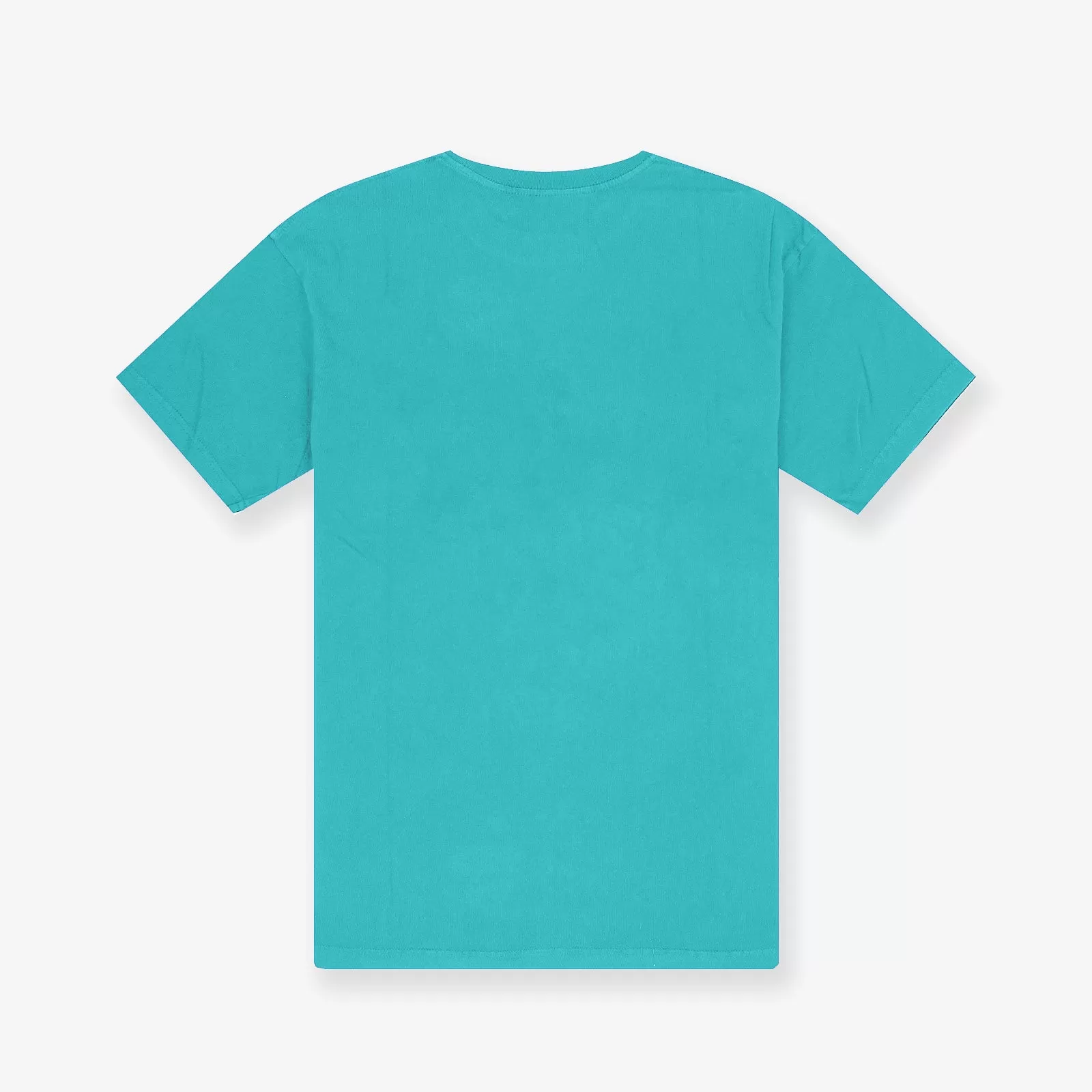 Charlotte Hornets Hoop Tee - Faded Teal