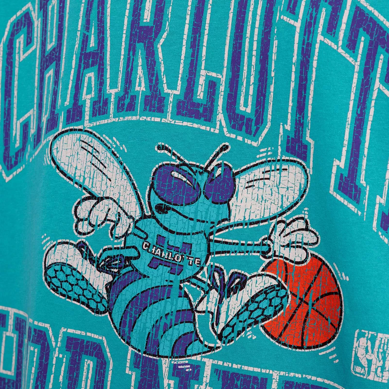 Charlotte Hornets Vintage HWC Ivy Arch Tee - Faded Teal