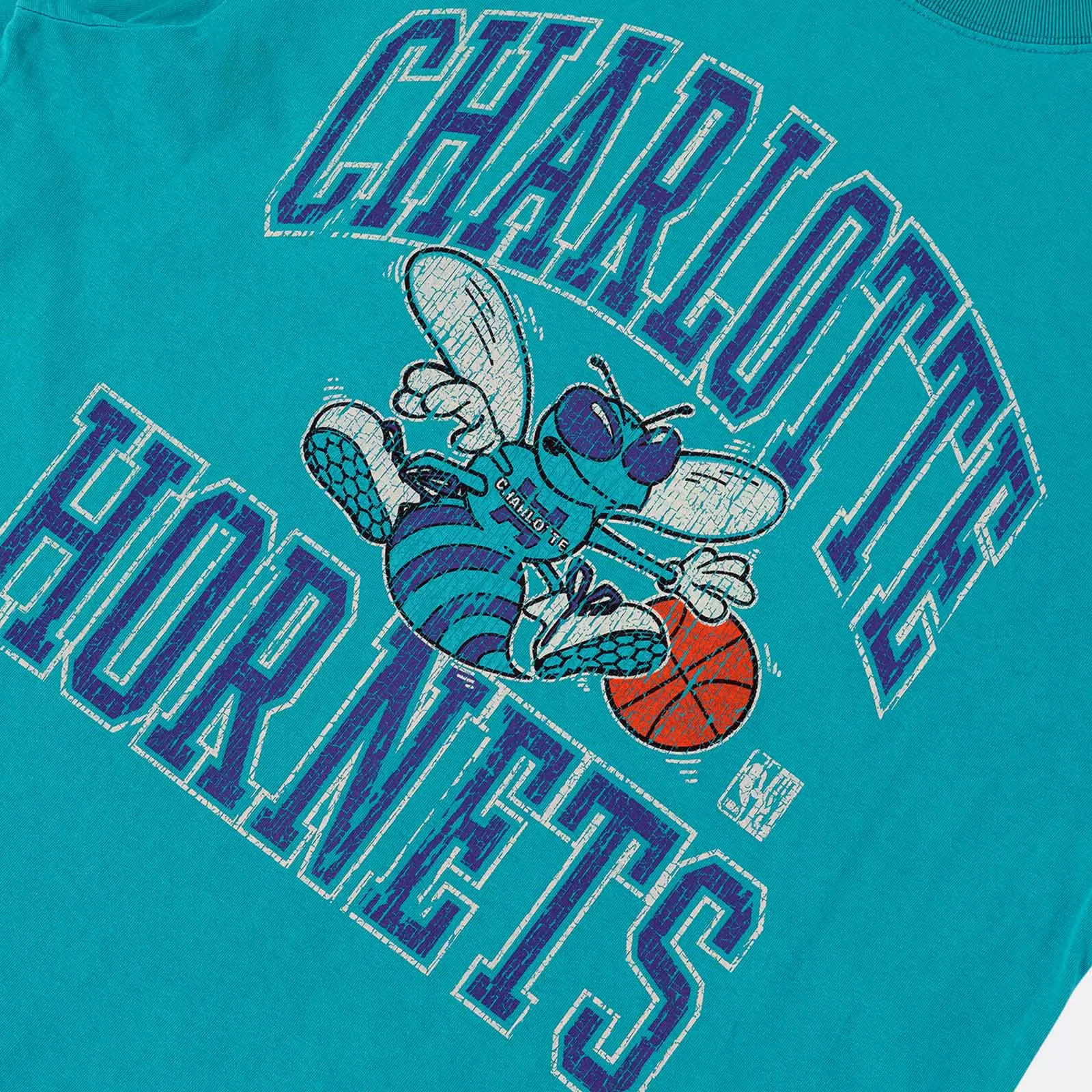 Charlotte Hornets Vintage HWC Ivy Arch Tee - Faded Teal