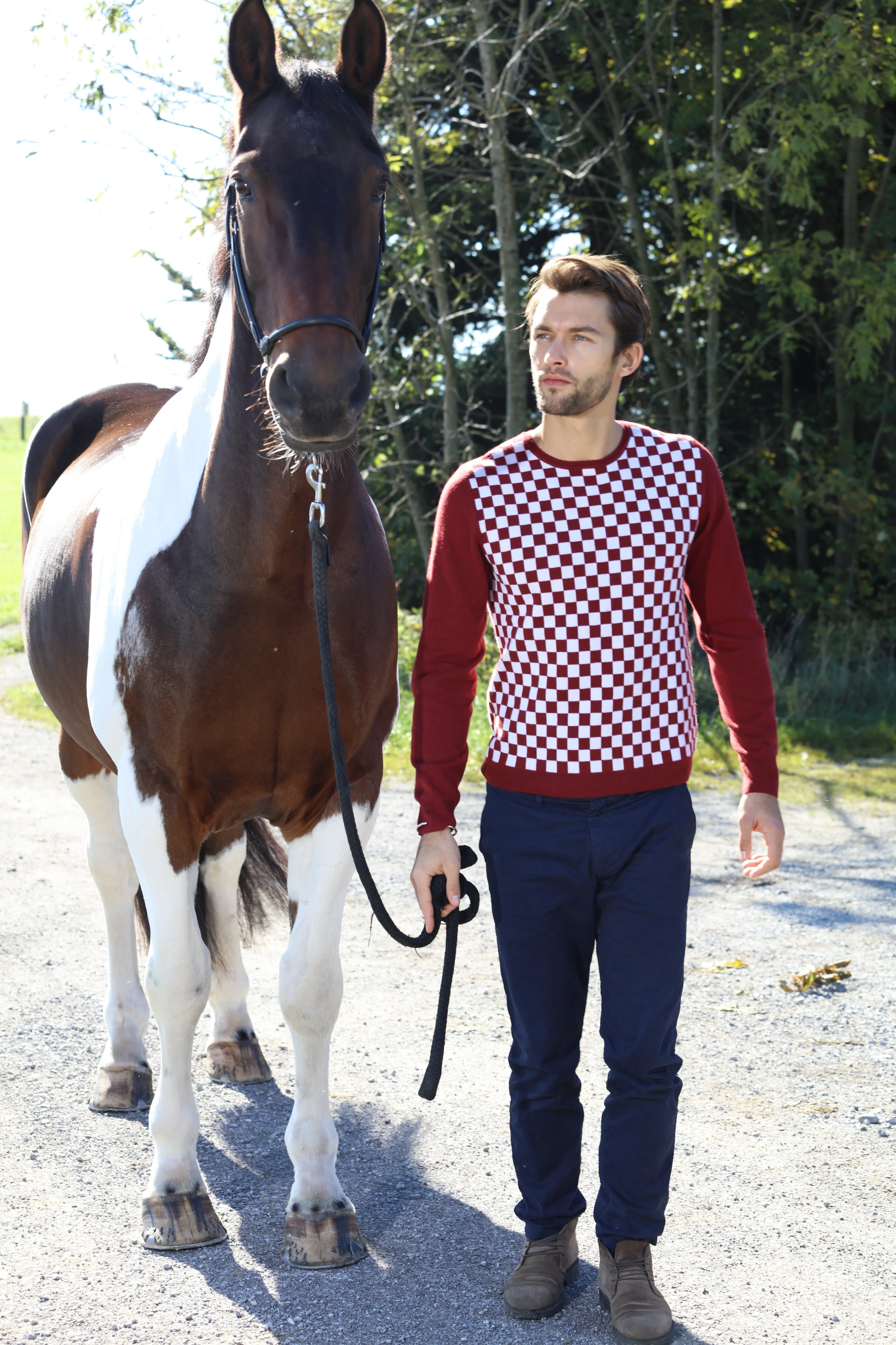 Checker Print Cashmere Merino Sweater