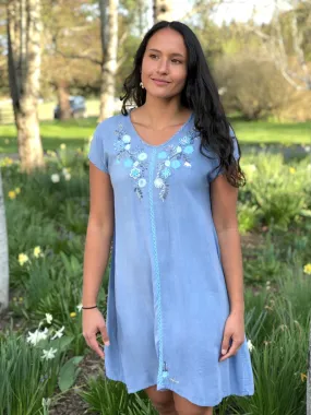 Felisa Sky Blue Garden Dress