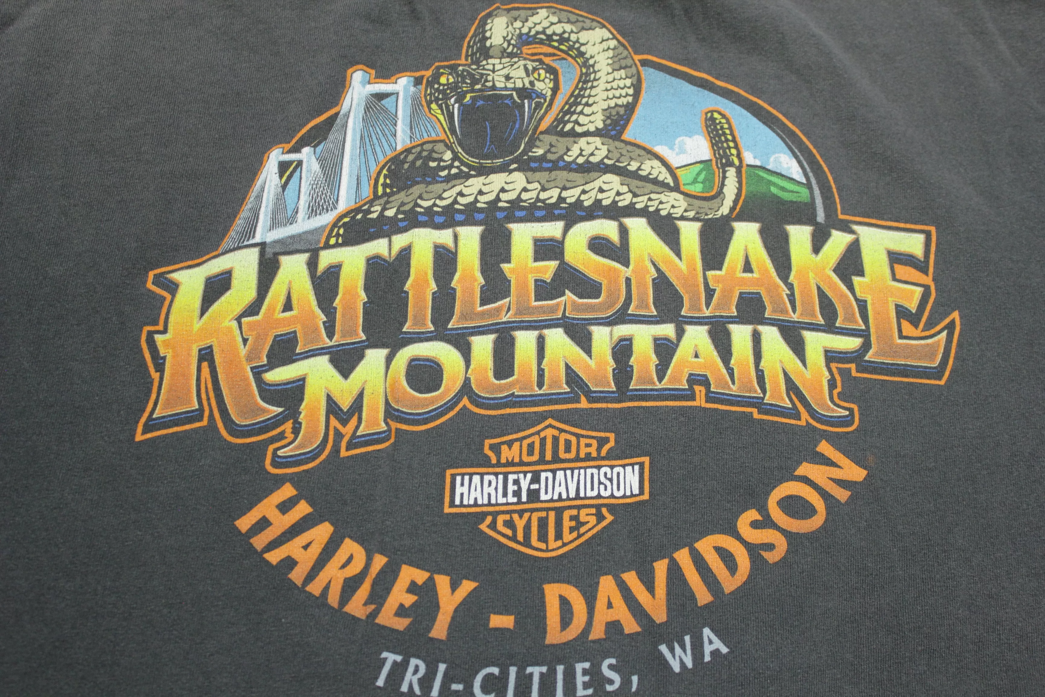 Harley Davidson Rattlesnake Mountain Motorcycles Faded Black Biker T-Shirt